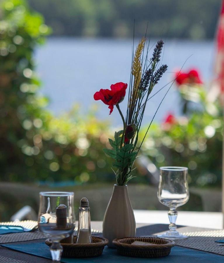 Logis Hotel Du Lac Neuvic  Luaran gambar
